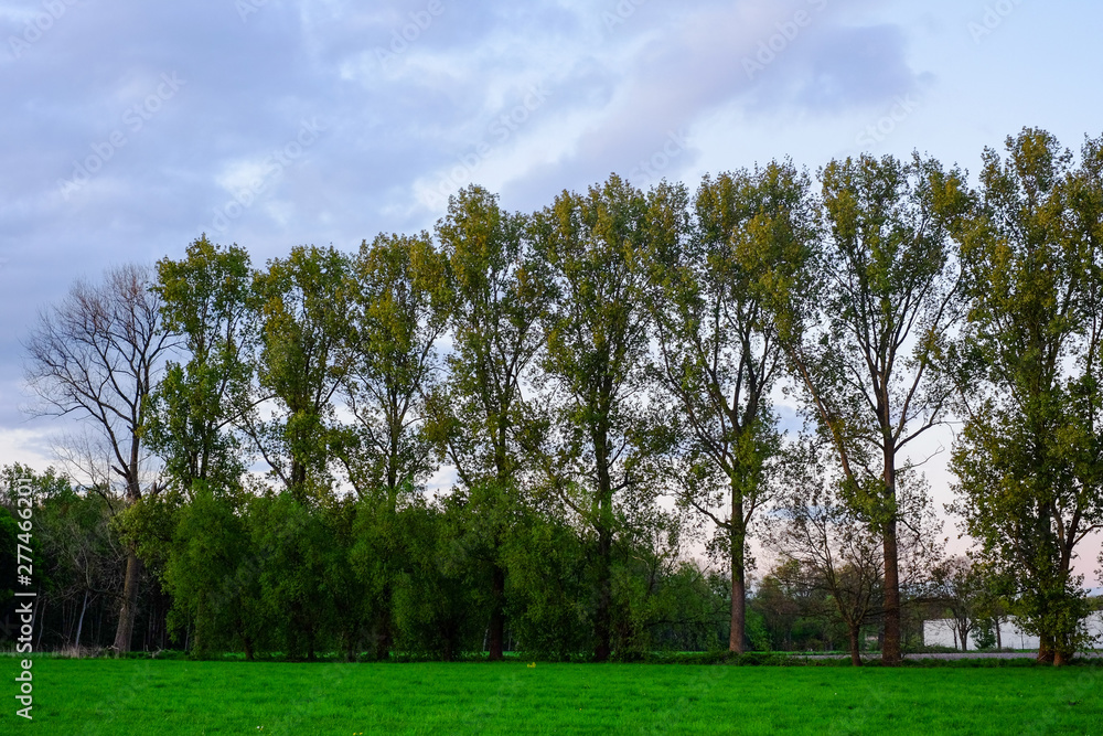 Natural Sunset or Sunrise Over Field Or Meadow with a Bright Dramatic scenic and colorful Sky against a Dark Ground. Natural Sunset or Sunrise Over Field Or Meadow with a Bright Dramatic scenic and colorful Sky against a Dark Ground.