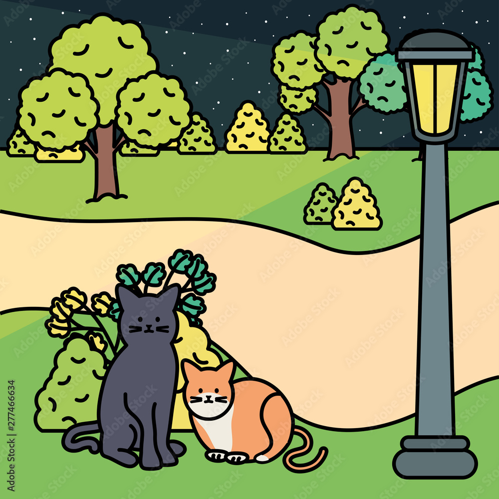 Fototapeta premium cute cats mascots adorables in the park