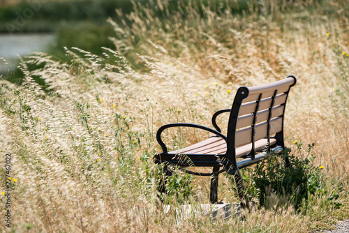 Bench surrounded by grasslands