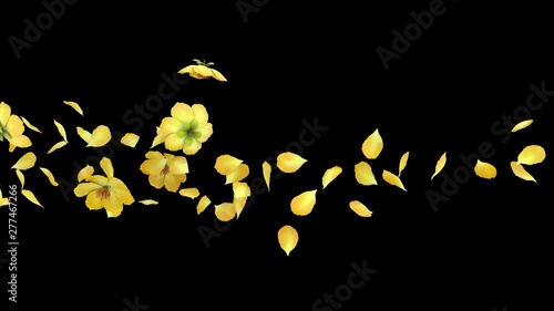 3D animation of a flower petals flow with alpha layer