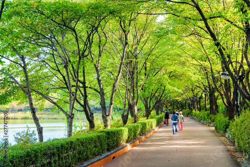 Residents and tourists walking along park in Seoul, South Korea