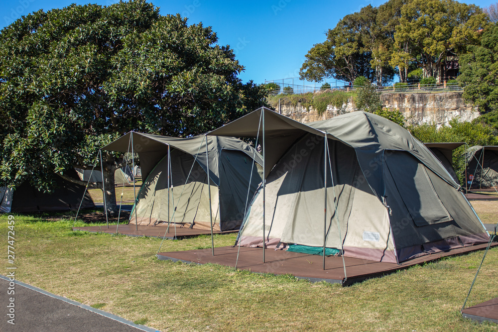 Green tents set up on grass in vacation campground next to tree with blue sky background Green tents set up on grass in vacation campground next to tree with blue sky background