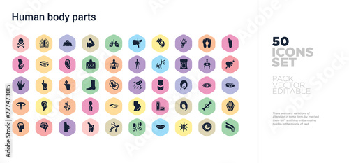 50 human body parts vector icons set in a colorful hexagon buttons