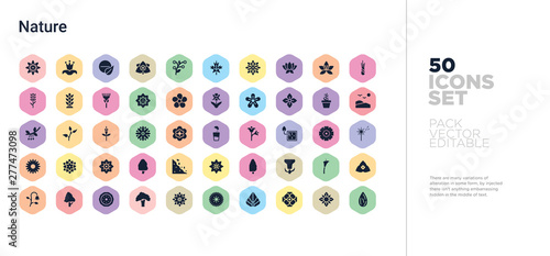 50 nature vector icons set in a colorful hexagon buttons