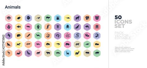 50 animals vector icons set in a colorful hexagon buttons