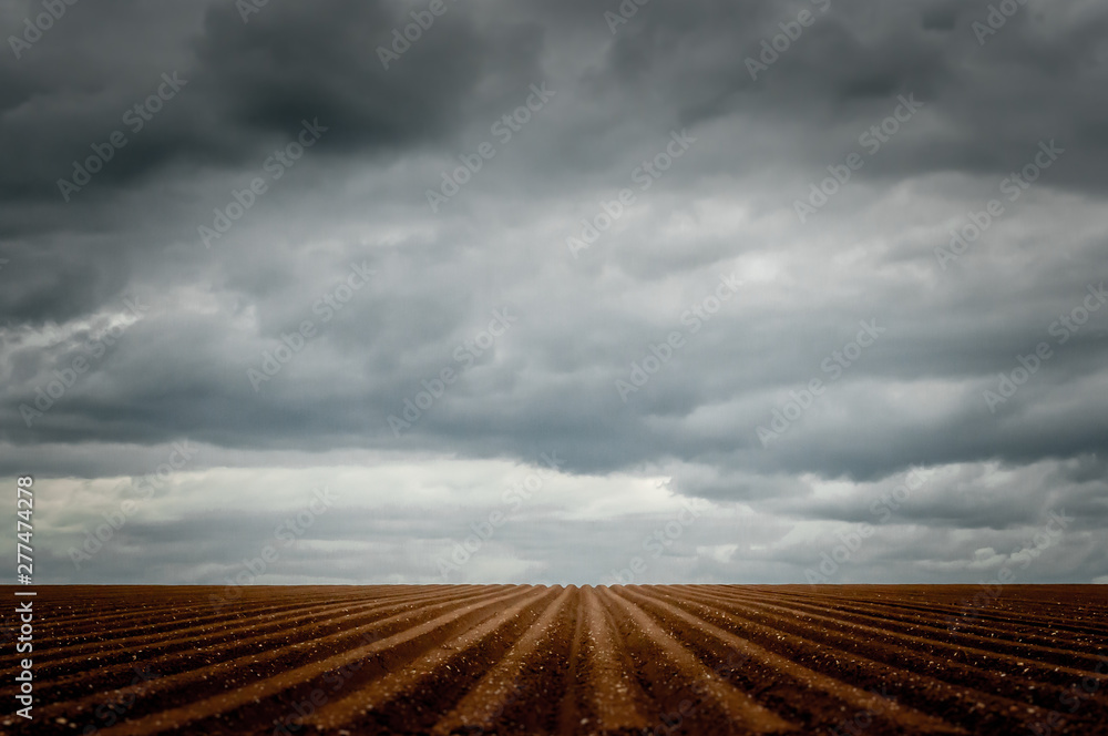 Dramatic sky over a furrowed field