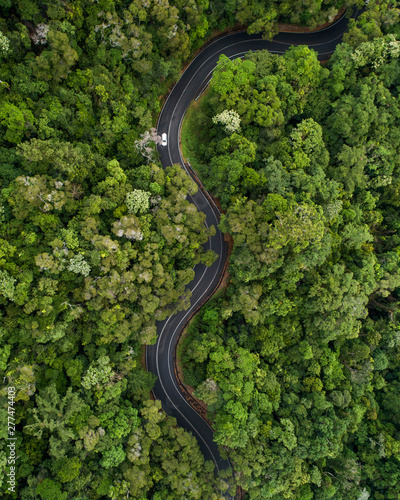 Fototapeta Aerial of a windy road in the middle of a rain forest.