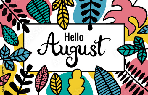 Lettering Hello August. The inscription in a rectangular frame decorated with leaves of different plants.