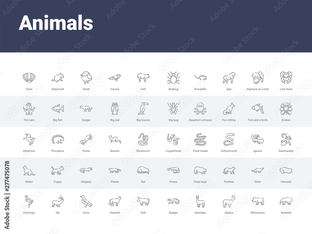 50 animals set icons such as anteater, rhinoceros, alpaca, antelope, badger, bull, cheetah, crow, elk. simple modern vector icons can be use for web mobile
