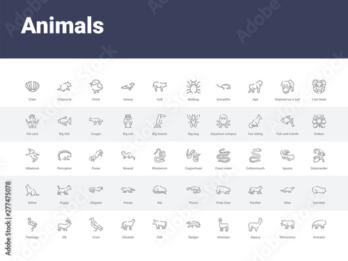 50 animals set icons such as anteater  rhinoceros  alpaca  antelope  badger  bull  cheetah  crow  elk. simple modern vector icons can be use for web mobile