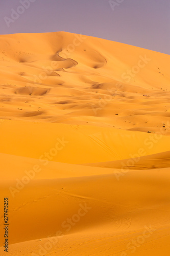 Desert Sahara with beautiful lines and colors at sunrise. Merzouga, Morocco