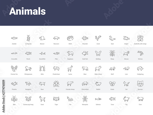 50 animals set icons such as cow, pig, tuna, salmon, mosquito, fox, tiger, goat, guinea pig heag. simple modern vector icons can be use for web mobile