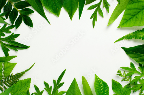 Tropical leaf and herbs frame border with a middle blank space for a text  logo  or product designs. Flat lay. Overhead close up shot     image