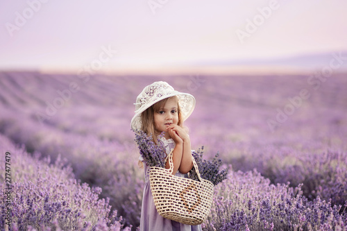 Beautiful long-haired girl in a dress in a field of blooming lavender