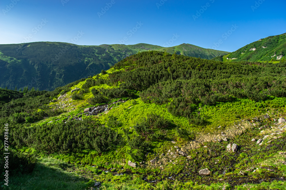 Green hills against the blue sky in the mountains
