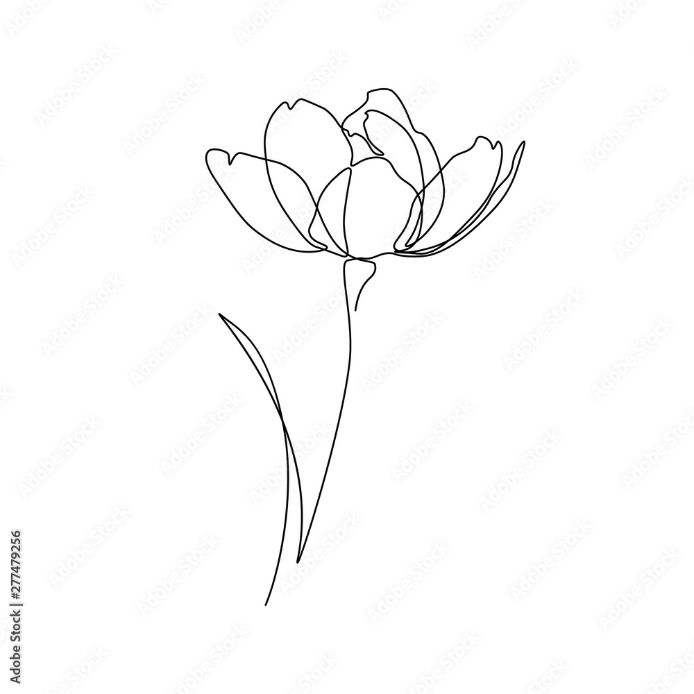 Fototapeta Streszczenie kwiat w jednym stylu rysowania linii sztuki. Szkic czarna linia na białym tle. Ilustracji wektorowych