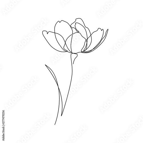 Wallpaper Mural Abstract flower in one line art drawing style