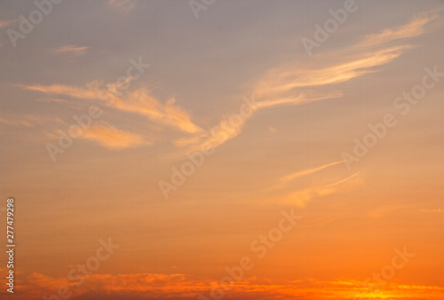 pink sunset, cloud bird © Inga