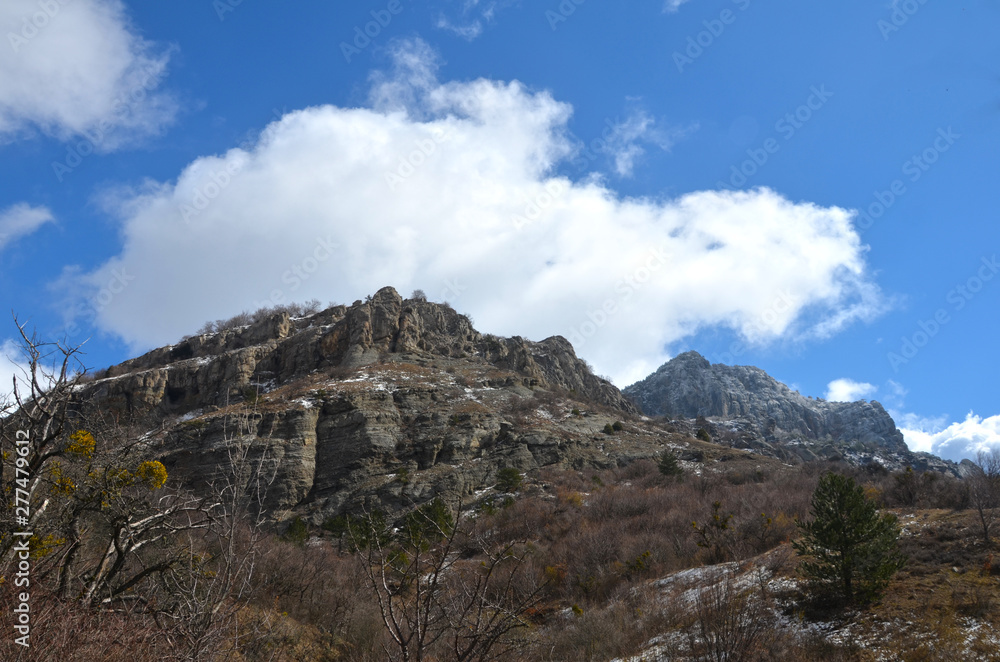 Beautiful panorama of mountain in green forest over blue sky