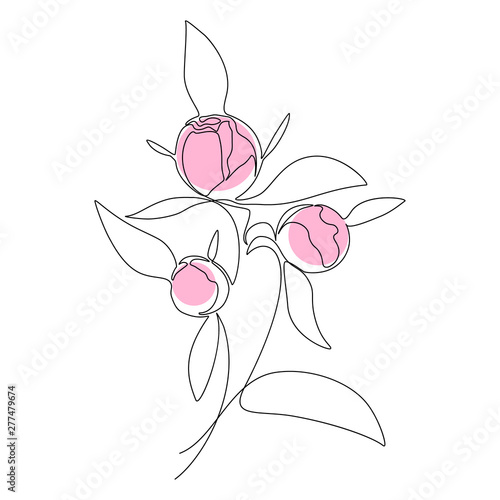 Bouquet of peony buds in one line art drawing style. Vector illustration