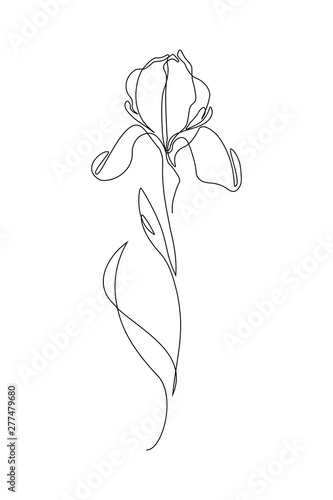 Iris flower in one line art drawing style. Black line sketch on white background. Vector illustration