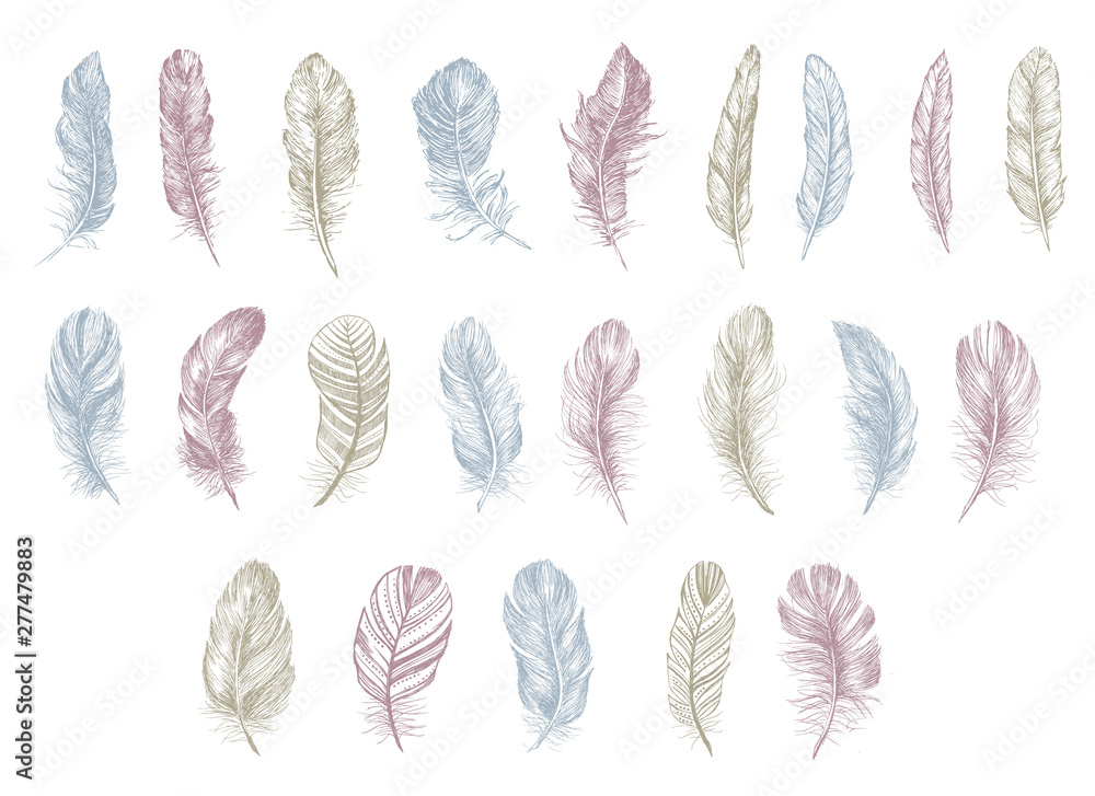 Feather icon set. Hand drawn illustration. Doodle sketch. Feather icon set. Hand drawn illustration. Doodle sketch.