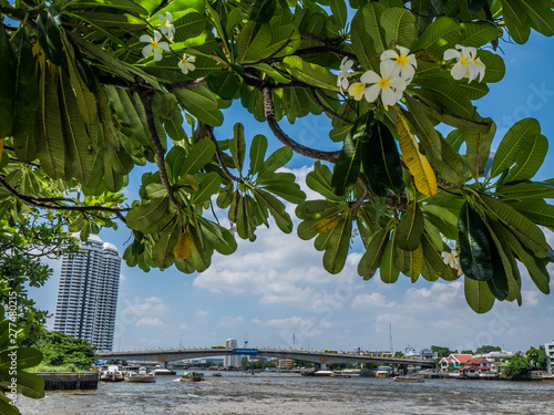 Wonderful view of Siriraj hospital Bangkok,Thailand. photo