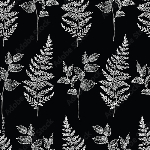 Seamless hand drawn vintage pattern with detailed fern branches on black background. Black and white graphic decoration for paper, textile, wrapping decoration, scrap-booking, t-shirt, cards.