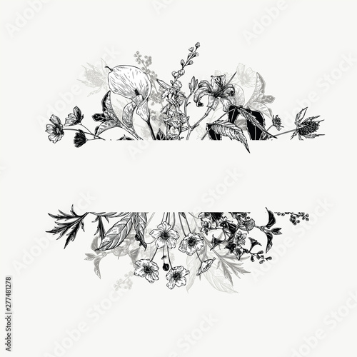 Horizontal hand drawn borders with wild flowers and herbs. Black and white arrangement in vintage style.