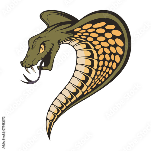 Vector illustration of a king cobra with hood. Snake Cobra is ready to hit with fangs and tongue. Viper snake. Mascot realistic King cobra illustration for a sport team. Vector graphics to design