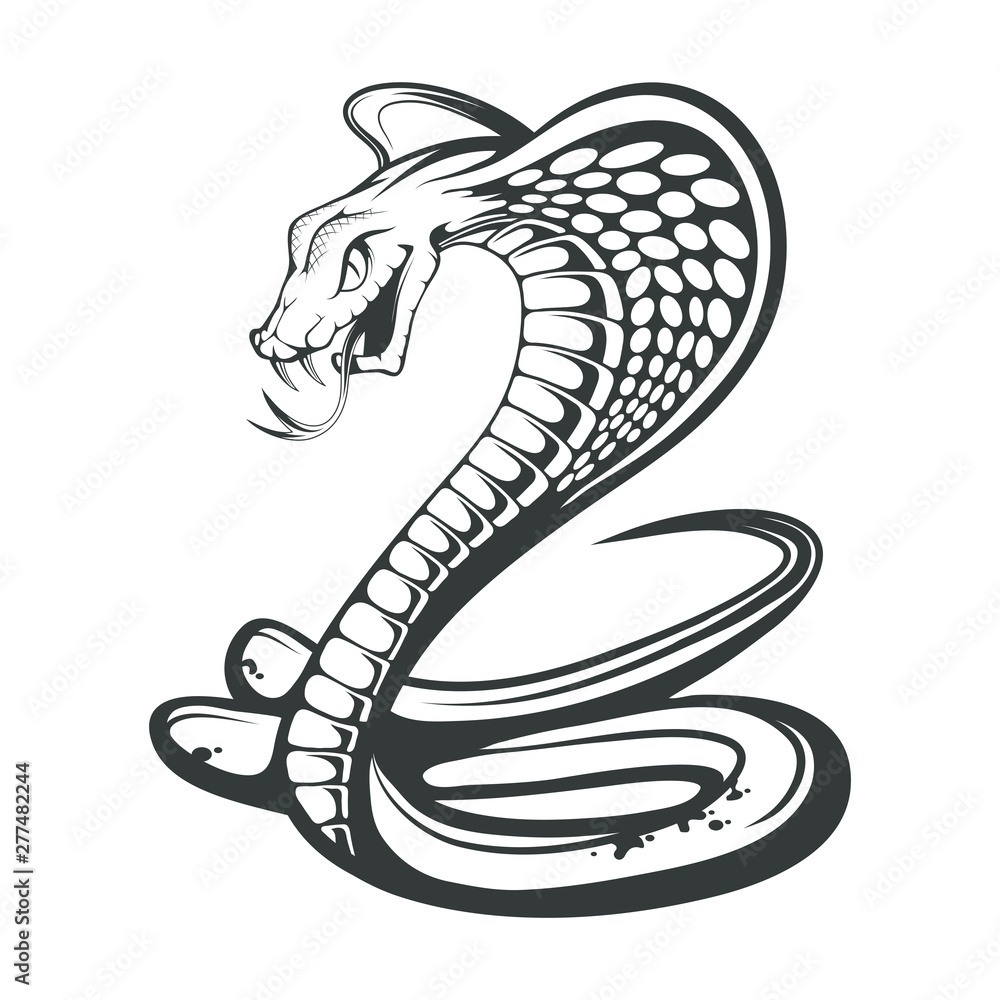 Black King Cobra logo. Snake Tattoo. Indian cobra illustration ...