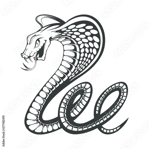 Black King Cobra logo. Snake Tattoo. Indian cobra illustration, drawing. Vector illustration, aggressive and evil spectacled cobra or Naja naja. Vector graphics to design