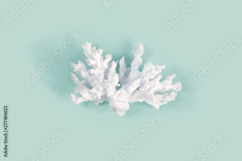 Сalcic skeleton of coral polyps on a pastel turquoise color background. Minimal marine concept.