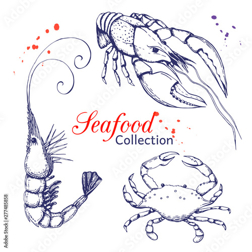 Seafood vector collection. hand drawn engraved seafood element in vintage style with ink splatter isolated on white. realistic outline sketched prawn or shrimp, crayfish or lobster and blue crab set