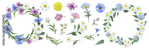 Botanical collection of wildflowers: blue cornflowers, pink flowers, white daisies, dandelions, leaves, twigs, buds. Flower frame,wreath. Watercolor.