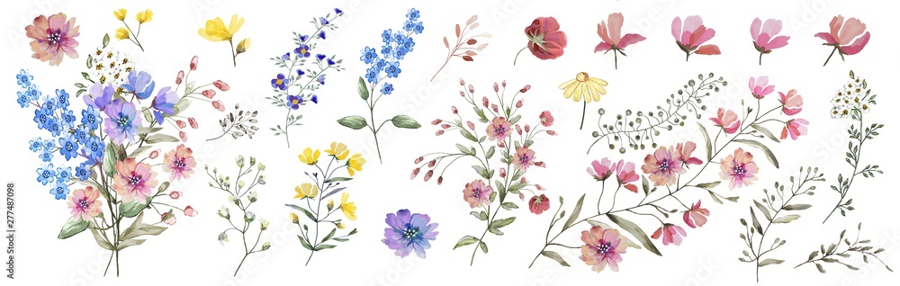 Field flowers.  Watercolor illustration. Botanical collection of wild and garden plants. Set: different wild flowers, pink, blue, yellow, leaves, bouquets,branches,  herbs and other natural elements.