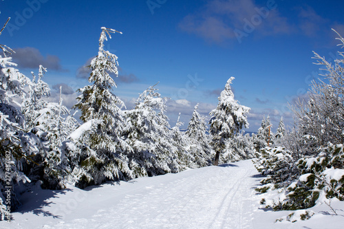 winter landscape at the Fichtelberg Oberwiesenthal © waldenstroem