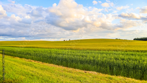 Wonderful field, hills, trees and blue sky with clouds in the countryside. Autumn landscape