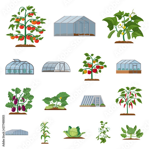Vector design of greenhouse and plant symbol. Collection of greenhouse and garden stock symbol for web.