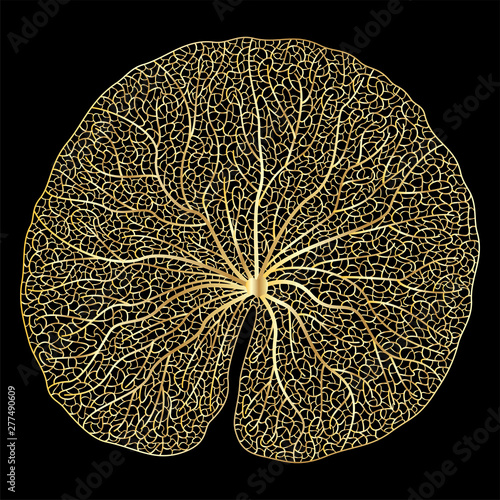 Leaf Lotus, isolated. Vector illustration.