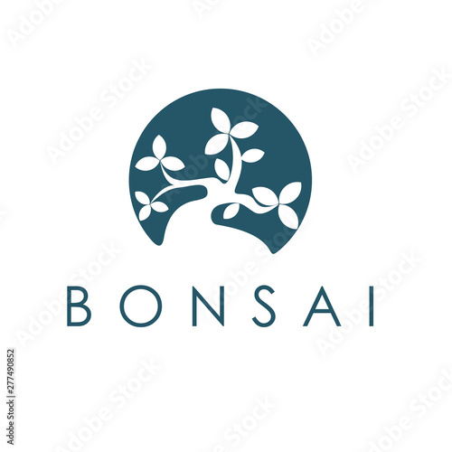 Bonsai simple logo design inspiration