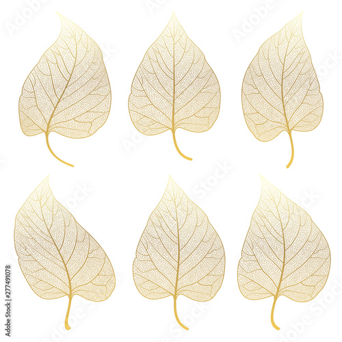 Set leaves of gold on white. Vector illustration.  © helenagl