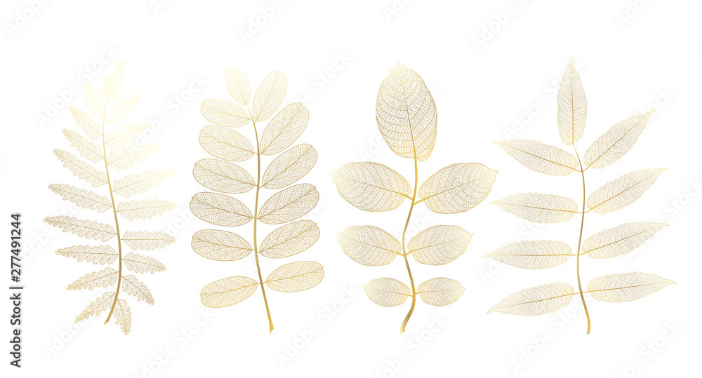 Set leaves of colored on white. Vector illustration.