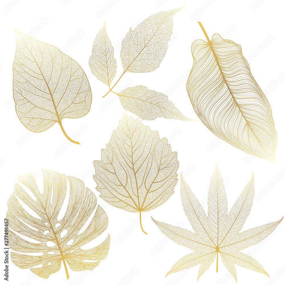 Obraz premium Set leaves of colored on white. Vector illustration.