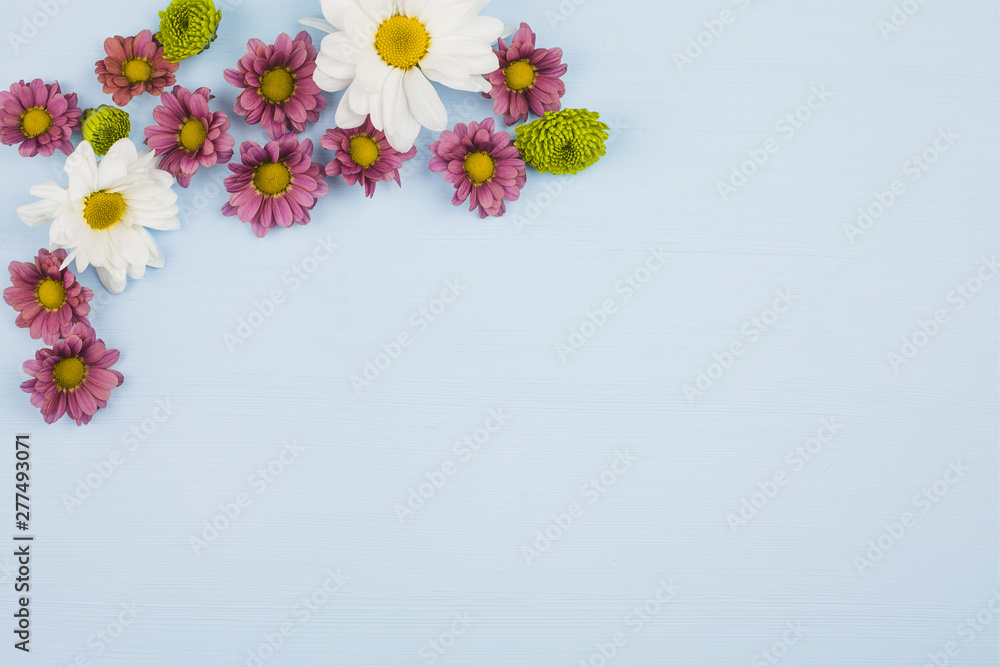 Top view of fresh flowers Top view of fresh flowers