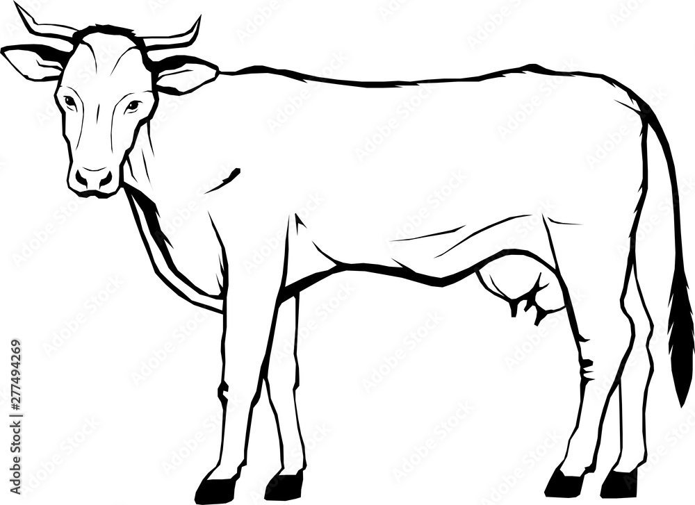 cow, farm, vector graphic, logo, art illustration, isolated, monogram