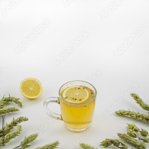 Lemon tea cup decorated with herbs on white backdrop