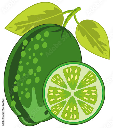 Tropical fruit lime on white background is insulated