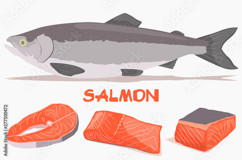 Fillet, steak and fish salmon in cartoon style