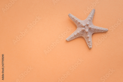 Starfish on an orange background. Sea summer theme